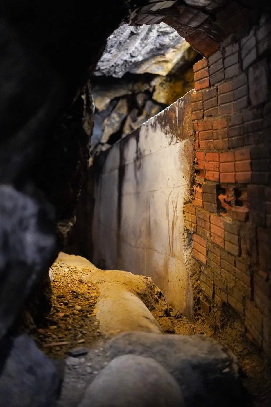 Pâte dense et bleu marqué du Roquefort Carles Convoitise, signature du travet de bois et des caves naturelles