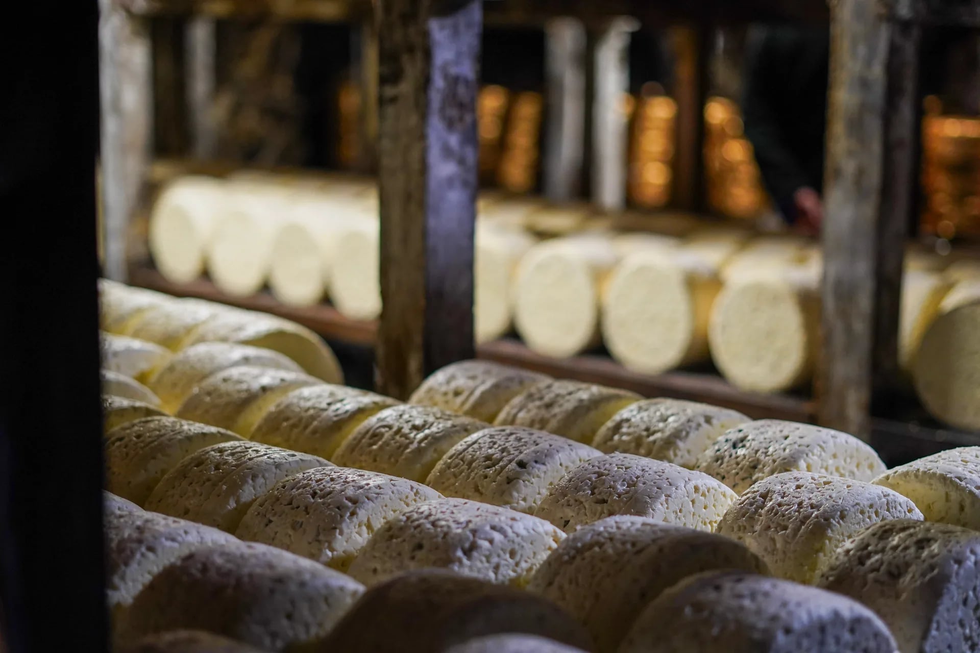 Roqueforts affinés sur travets de bois dans les caves du Combalou