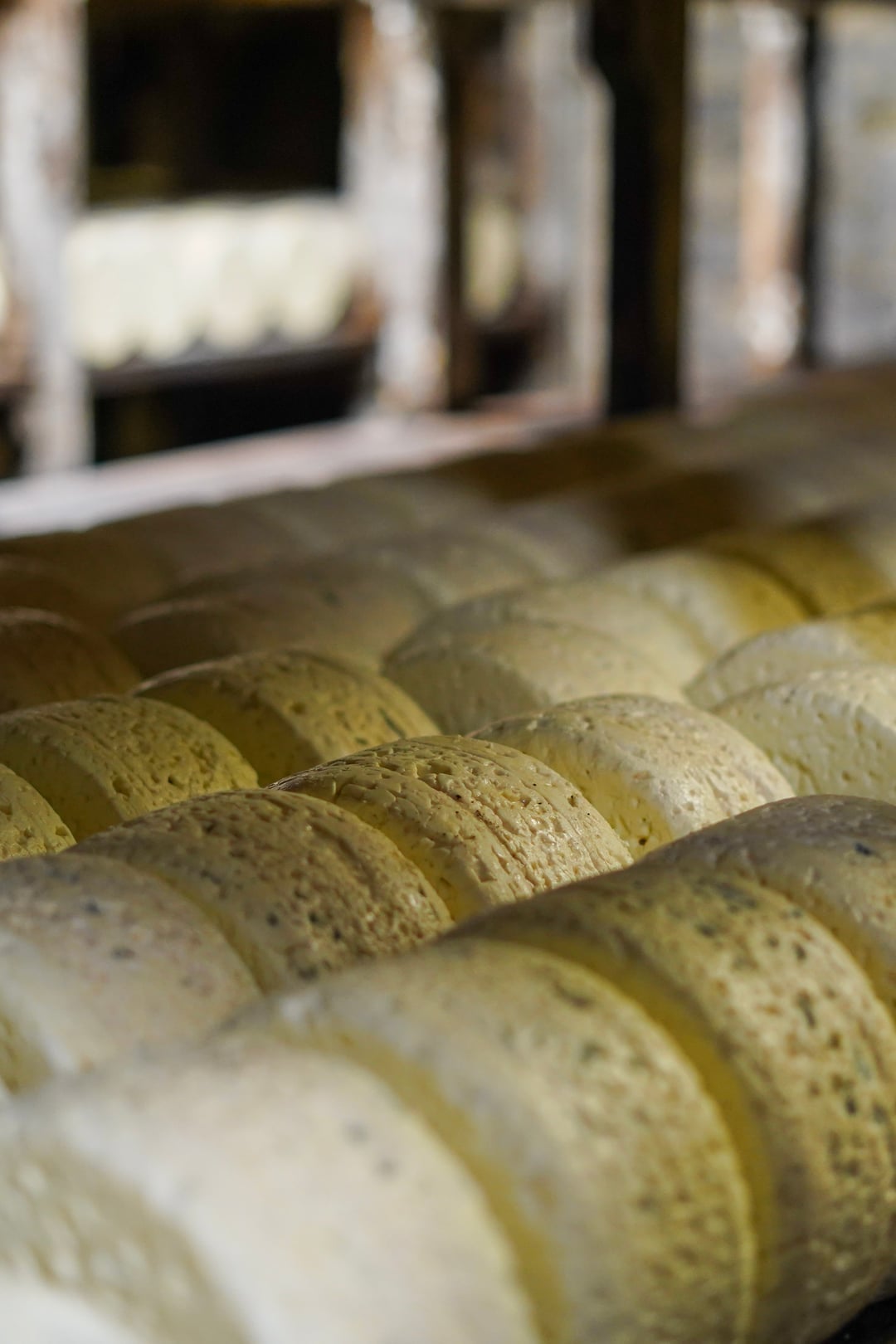 Roqueforts alignés sur les travets de bois dans les caves naturelles du Combalou, au-dessus des fleurines