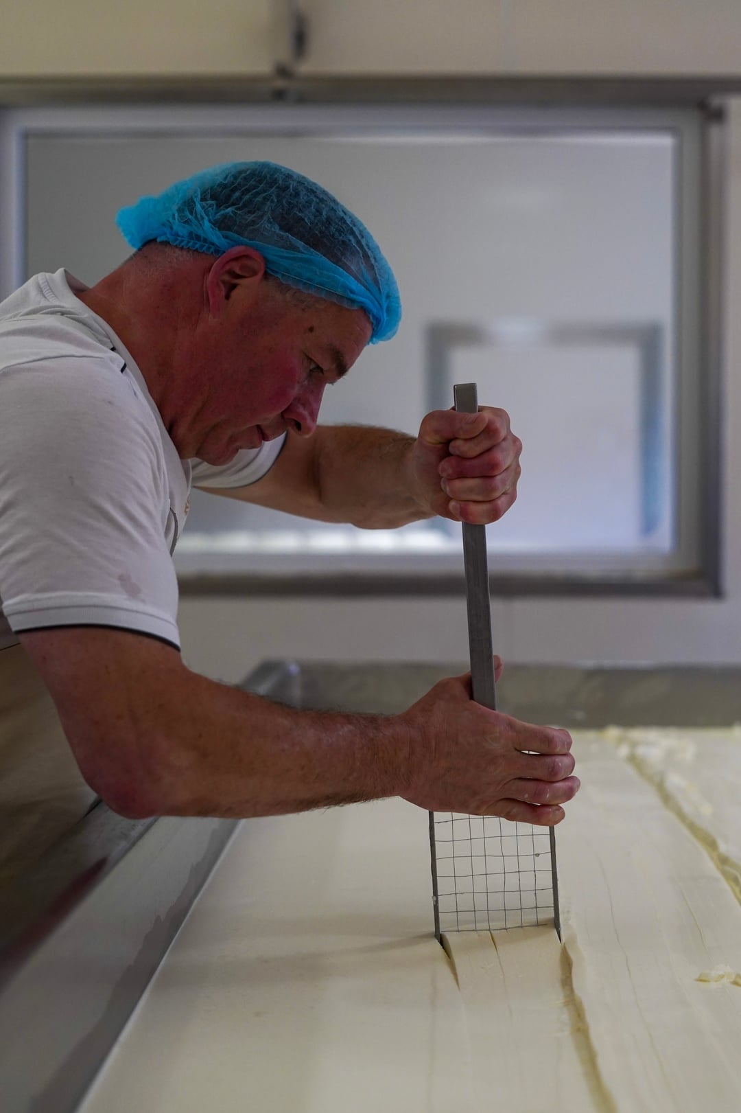 Artisan fromager découpant le caillé à la main dans l'atelier de la maison Carles, geste inchangé depuis 1927