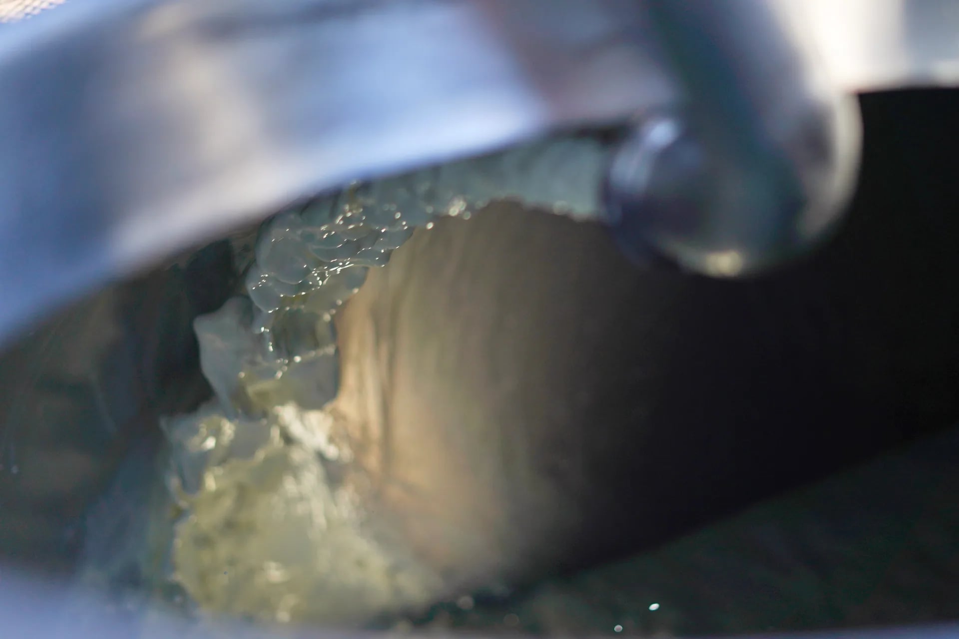 Bergerie des causses de l'Aveyron, brebis laitières partenaires de la maison Carles